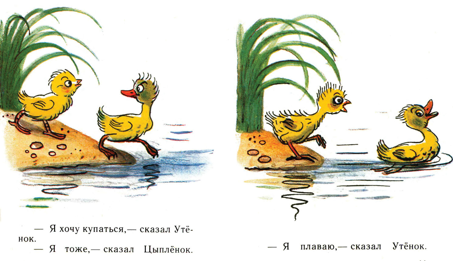 гибриды для этикетки